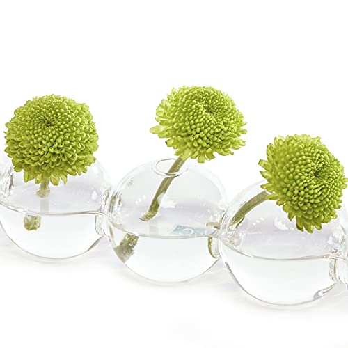 Chive ‘Caterpillar’ Bubble Bud Vase For Centerpieces — 6 Hole Multi Chamber Clear Glass Flower Vase For Short Flowers — Small, 10.25” Long #TOP1