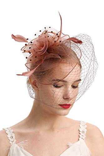 Cizoe Fascinators Hats 20s 50s Hat Pillbox Hat Cocktail Tea Party Headwear with Veil for Girls and Women(D-coffee)