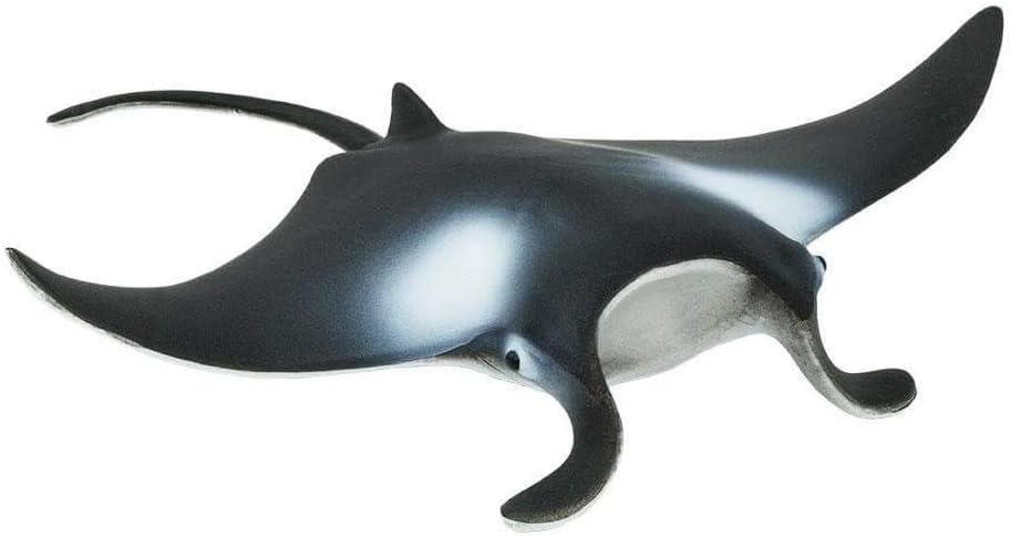 Safari Ltd Wild Safari Sea Life - Manta Ray - Realistic Hand Painted Toy Figurine Model - Quality Construction from Safe and BPA Free Materials - For Ages 3 and Up by Safari Ltd.