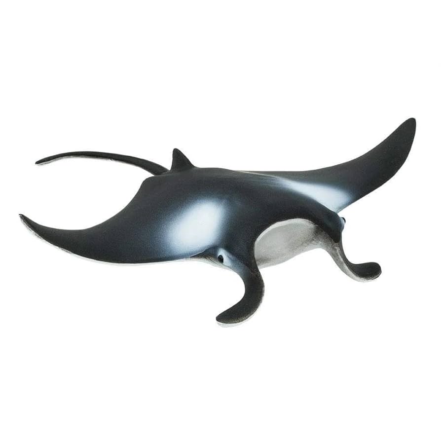 Amazon.com: Safari Ltd. Manta Ray Figurine - Realistic 4