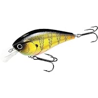 Amazon.co.jp: ラッキークラフトUSA(LUCKY CRAFT)SKT 110 マグナムMR