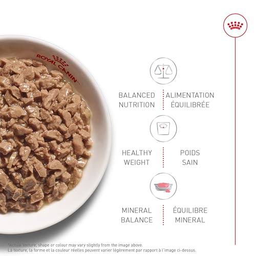 Royal Canin Adult Instinctive Thin Slices in Gravy Wet Cat Food, 3 oz can (12-Count) image 7