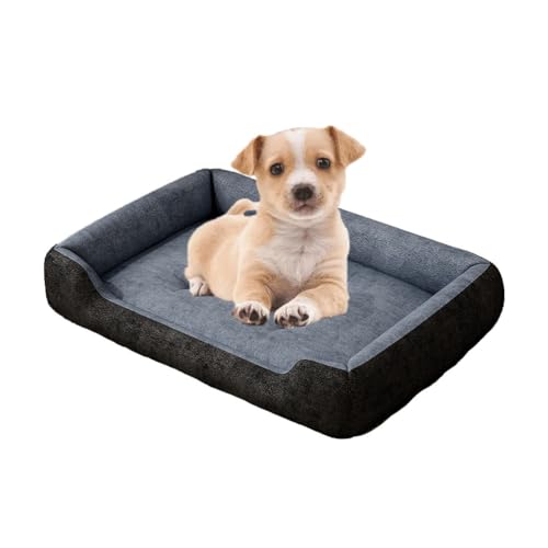 `OȗppxbhAN[gp[tH[pxbhAO\Ő􂦂Jo[Ɗ~ߒKȗpxbhALƌp,,L