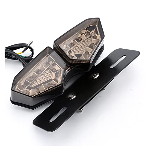 Luz trasera LED multifunción 12V con intermitentes y soporte de matrícula 4