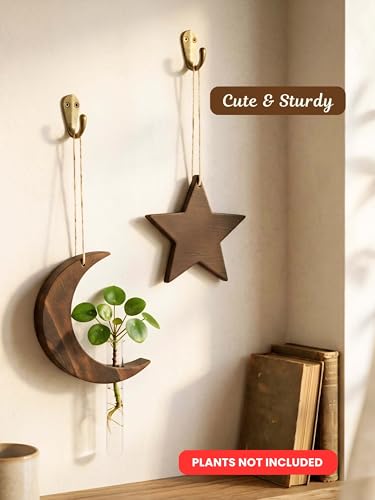 Image of Bombay Greens Hanging Moon Star Planter with Wooden Holder & Rope | Test Tube Hanging Planter Indoor Stand | Wooden Hanging Home Decor, Living Room, Balcony & Office