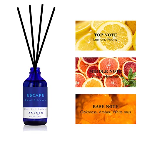Xcleen XCLEEN01 Reed Diffusers Set, 3.7 Oz Scent Diffuser, 6 Reed Diffuser Sticks, Home Fragrance Hyacinth, Peony & Citrus, Aromatherapy Oil Diffuser Reeds, More Masculine Scent, Bathroom & Office Decor 110Ml thumb #3