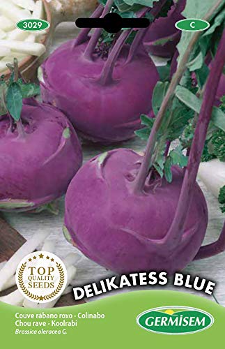 Germisem Kohlrabi DELIKATESS, mehrfarbig, EC3029