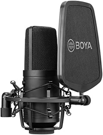 BOYA M800 Audio Microphone Large Gold-sputtered Diaphragm Studio Condenser Microphone 24V 48V Phantom Power & Sturdy Housing for Vocal Recording Singer Podcasting Broadcasting YouTube Video