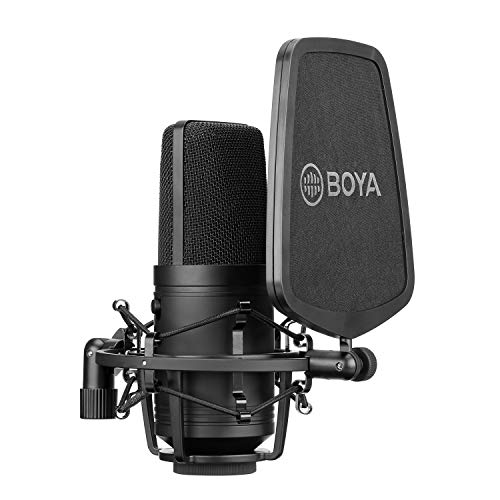 Boya M800 Audio Microphone Large Gold-Sputtered Diaphragm Studio Condenser Microphone 24V 48V Phantom Power & Sturdy Housing For Vocal Recording Singer Podcasting Broadcasting Youtube Video #TOP3
