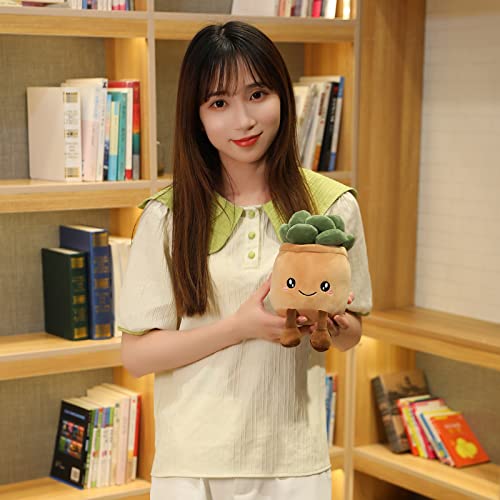 Sqeqe Plant Plush Toy, Plant Stuffed Animals Succulents Plush Pillow Decoration, Soft Plant Plush Pillow, Succulents Plant Throw Pillow Gift For Kids Boys Girls (Smile 2, 9.5'') #TOP3