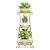KMOTASUO 3 Tier Tall Metal Plant Stand, 35 Inch Plant Stands Indoor Outdoor, Rustproof Flower Pot Holder Display Rack for Corner Patio Garden Balcony Living Room