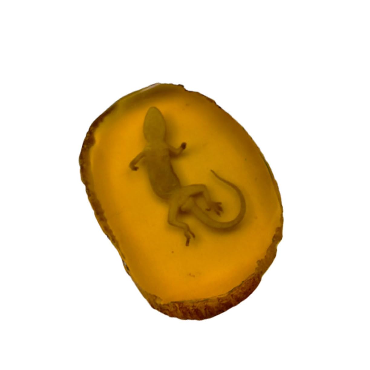 PLAFOPE Realistic Scorpion Insect Amber Pendant Animal Specimen Necklace Unique Ornament for Home