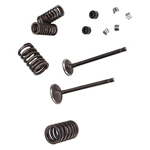 Kit de reconstrução de válvula cilíndrica, resistente ao clima, alta dureza, kit de válvulas de moto