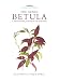 Produktbild Botanical Magazine Monograph: The Genus Betula: A Taxonomic Revision of Birches
