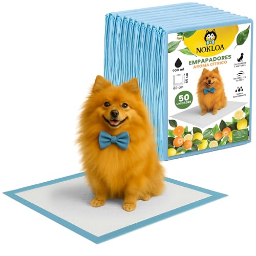 NOKLOA Empapadores Perros 60x60 con Olor cítrico – Pack 50 NOKLOA – Almohadillas Entrenamiento Perro – Tapetes absorbentes Desechables