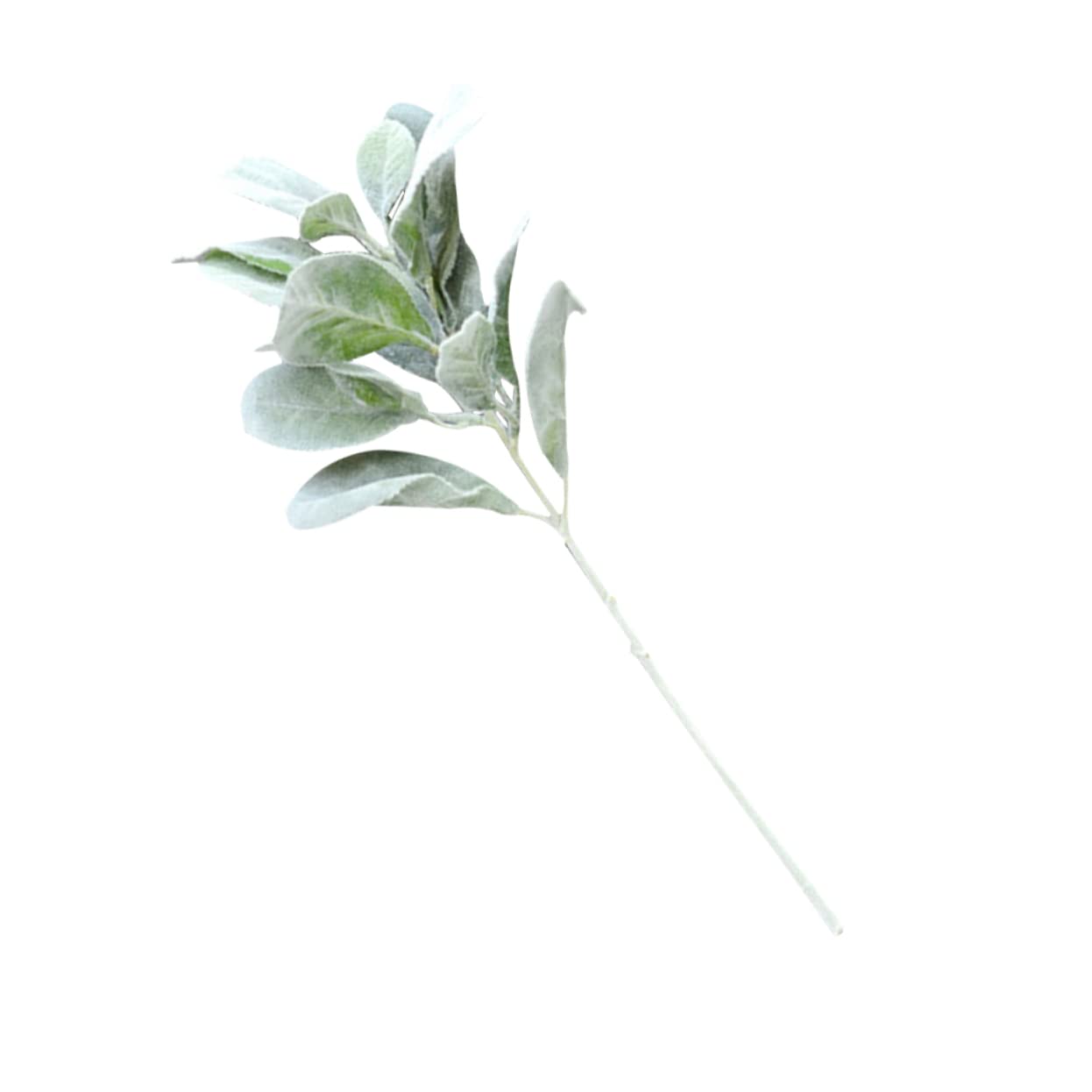 PRETYZOOM 15pezzi Foglie Artificiali Realistiche Per Decorazioni Adornamenti Vivid e Lifelike Per Matrimonio Feste e Decorazioni Per La Casa Verde