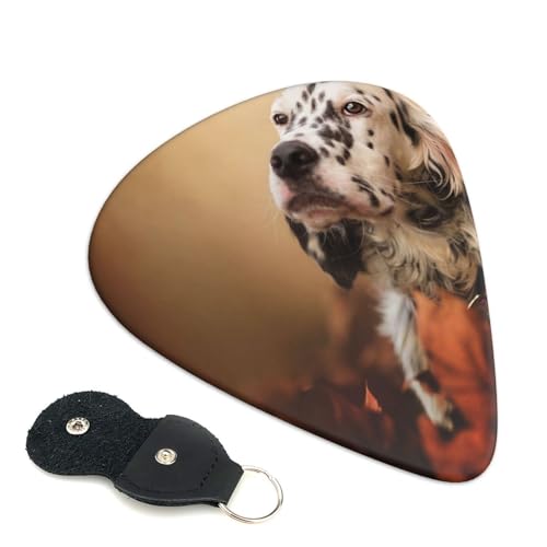 vX`bNsbN 킢GLM^[sbN CObV Zb^[ H̃ybg q  CObV y Aj t@bV yD lwysbN 6pbN 0.71mm