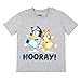 Bluey Toddler Boys 3 Pack Graphic T-Shirts 2T Blue