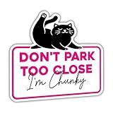 VOTANTA Don't Park Too Close I'm Chunky Rainbow Sticker, Funny Cat Meme Driving Driver Stickers, Adult Humor Parking Decals, New Drivers Gifts Decoration for Laptops, Phones, Water Bottles, Car