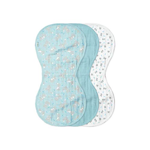 Best Super Sprout Organic Seeds A Review