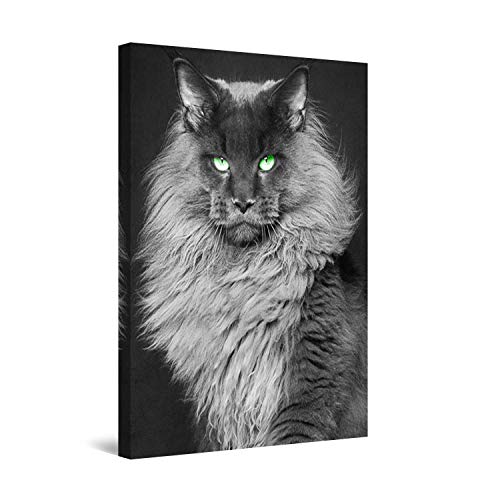 Startonight Impression sur Toile Chat, Art Encadré Imprimée Tableau Motif Moderne Décoration Tendu sur Chassis Prêt à Accrocher 80 x 120 cm Cover