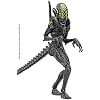 Hiya Toys Alien vs. Predator: Grid Alien 1:18 Scale Action Figure, Multicolor