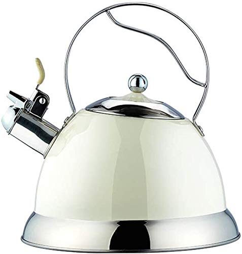Bouilloire inox 304 SHISHI 3L pour en finir avec la rouille en cuisine