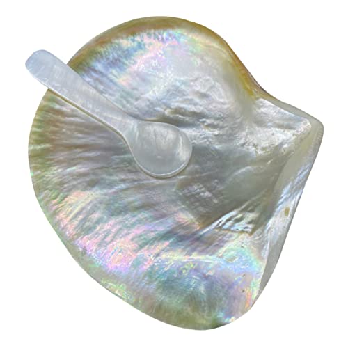 OUNONA 1 Set Elegant Shell Plates with Spoon Natural Dessert Serving Dish for Home for Parties Weddings and Displaying Snacks Fruits and Treats