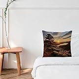 Zoom IMG-1 wsdesdec copricuscino rustico per esterni Zoom IMG-1 wsdesdec copricuscino rustico per esterni