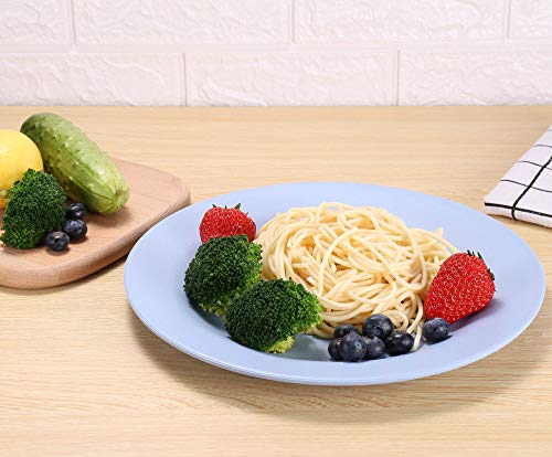 Luckyzone 11Inch/5Pcs Wheat Straw Plates - Reusable & Unbreakable Plate - Dishwasher & Microwave Safe - Perfect For Dinner Dishes - Healthy, Lightweight, Bpa Free & Eco-Friendly (5 Colors) #TOP3