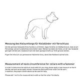 Sprenger Hundehalsband aus stabilem Paracord Nylon mit Edelstahl Clic Lock Verschluss I Wasserabweisende Halskette, reflektierend, langlebig 50 cm, orange