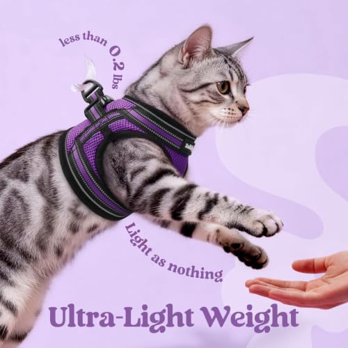 Image of rabbitgoo Cat Harness and Leash Set, Step-in Soft Vest, Purple | Escape Proof, Lightweight, Easy-on & Adjustable, Hook & Loop with Buckle, Reflective, for Kittens & Small Cats Walks, S
