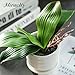 Miracliy Phalaenopsis Orchid Leaves Real Latex Touch Plants Arrangement