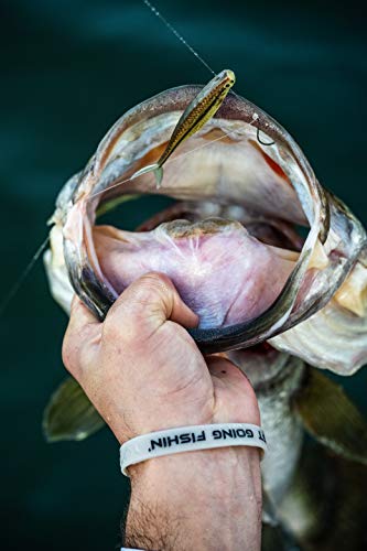 Image of PowerBait Natural Glitter Trout Bait