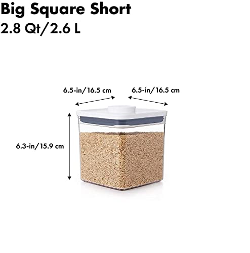 Oxo Good Grips Pop Container 2.8-Quart Square Airtight Food Storage For Sugar And More (Set Of 4) #TOP1