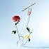 Flower by Kenzo for Women 1.0 oz Eau de Toilette Spray