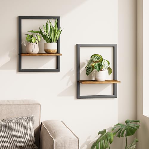 Bamworld Wall Plant Holder Hanging Planters for Indoor Plants Frames