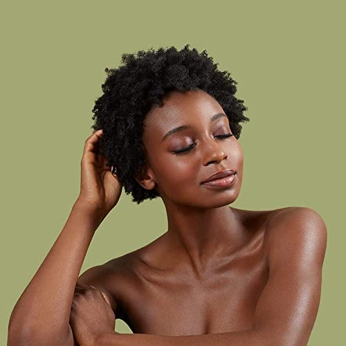 Extra Moisture Retention Shampoo - Raw Shea Butter - Repairs Dry, Damaged Or Transitioning Hair - 2 Pack (379Ml Each) #TOP3