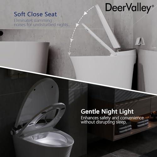 Luxury Smart Toilet with Bidet, Tankless, Heated Seat, Warm Water, Dryer, Night Light, Remote (Bidet Seat)