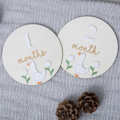 Goose Monthly Milestone Cards - Wooden Discs & 3D Baby Monthly Milestone Signs for Baby Shower & Announcement