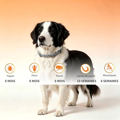 Meloive Collier Antipuces et Anti-tiques pour Chiens, 2 Pièces – vue 6