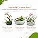 FLARINGEXTRA1 Water Lotus Bowl Planter Kit - Japanese Compote Bowl Ikebana Vase Set w/ 1.8