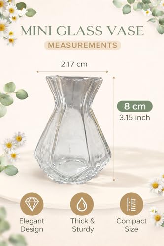 Image of Decorative Glass Vase for Flower Plants | Clear Glass vases for Home Decor | Glass vase for Living Room (Cylindrical)-Pack of 2