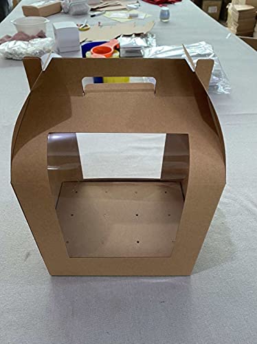 Cake Pop Boxes - Cake Pop Boxes Packaging with Holes for 6 Pop Cakes - 8.5 X 6 X 8 Box with Clear Window for Displaying Cake Pops - Cake Pops Holder with Handle - Set of 6 Cake Pop Containers