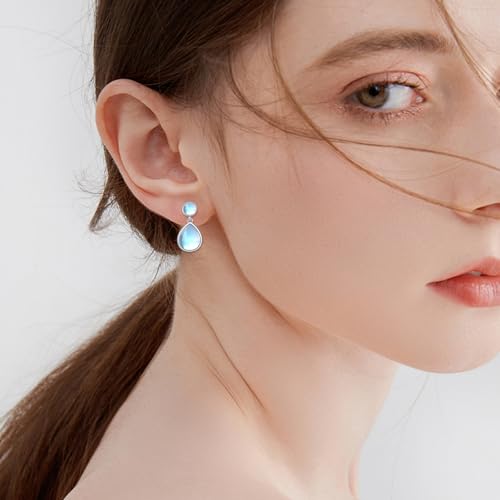 Larimar/Rose Quartz/Labradorite/Moonstone/Opal Earrings for Women Sterling Silver Teardrop Stud Earrings Jewelry Gift for Women2