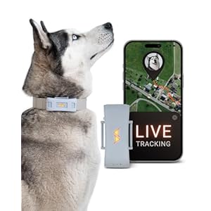 PAJ GPS pour Chien – Alarme de Fugue + Suivi en Direct – Mode d&rsquo;économie de Batterie près de routeur – Signaux sonores- Lumières LED- Étanche (IP67) – s&rsquo;adapte à Tous Les Colliers (Gris)