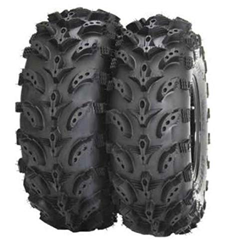 Pair of Interco Swamp Lite 22x8-10 (6ply) ATV Tires (2)