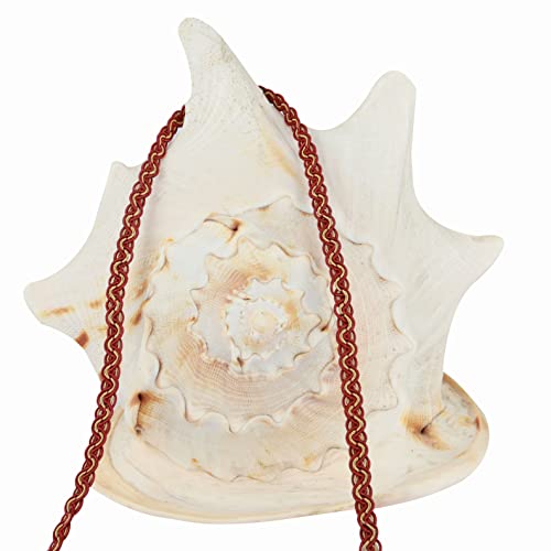 Bel Avenir Braid Trim, 3/8 Inch 10 Yards Fabric Trim, Polyester Fringe Trim For Sewing And Crafting, Costume Diy Crafts Home Decorative(Mix Red) #TOP5