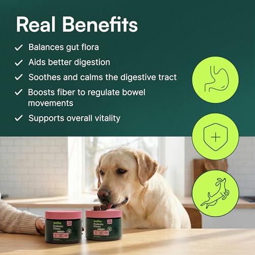 Wuffes Daily Probiotic for Dogs - Supports Digestive Health, Gut Balance, and Immune System - with Prebiotics, Marshmallow Root, and Pumpkin Powder - 60 Soft Chews - Image 5