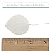 Global Sugar Art Hydrangea Leaves Sugar Cake Flowers Small White, 15 Count by Chef Alan Tetreault